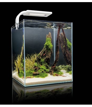 Aquael Shrimp Set Smart 10 стильный нано-аквариум
