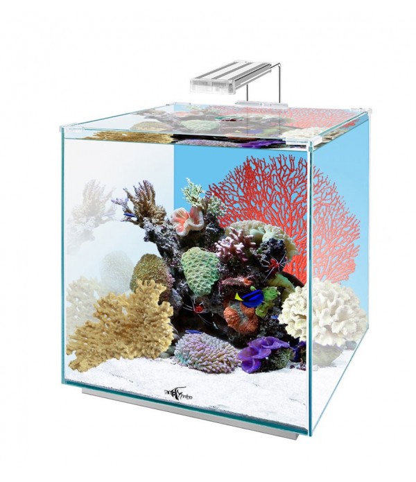 Нано-аквариум Биодизайн Q-scape Opti 35