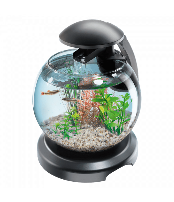 Рыбы тетра купить. Аквариум Tetra Cascade Globe. Аквариум Tetra Cascade Globe 6.8. Tetra аквариум Cascade Globe чёрный. Аквариумный набор 6.8 л Tetra Cascade Globe.